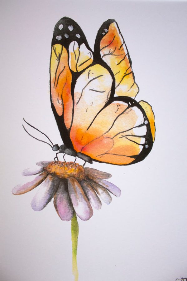 Watercolour Monarch Butterfly Painting - Print