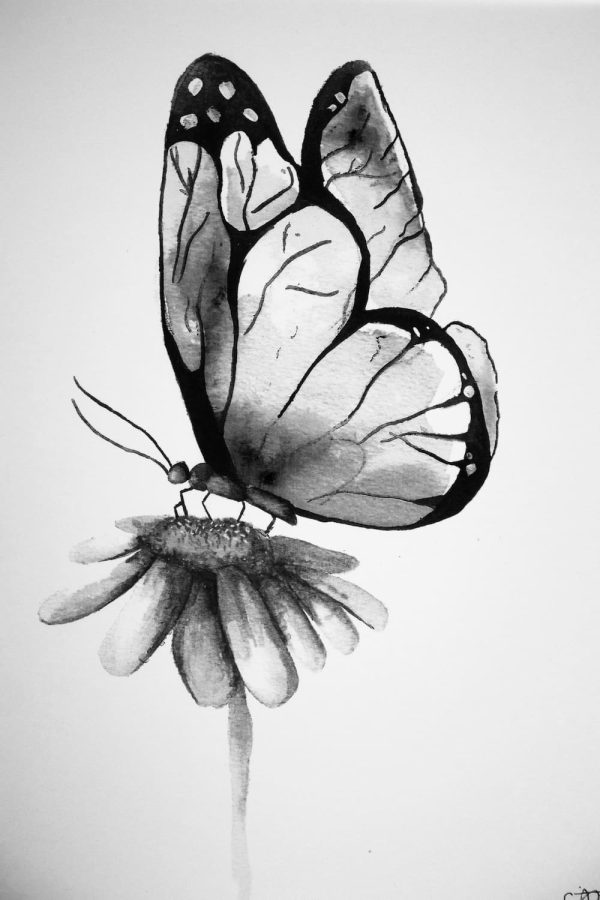Watercolour Monarch Butterfly Painting - Print - Image 4
