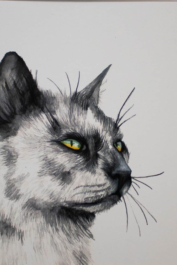 Watercolour Grey Cat Portrait - Print