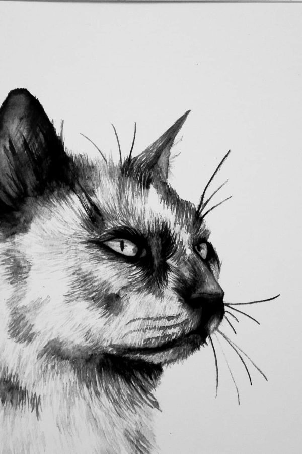 Watercolour Grey Cat Portrait - Print - Image 4