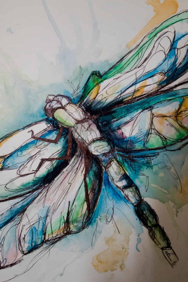 Watercolour Abstract Dragonfly Painting - Print
