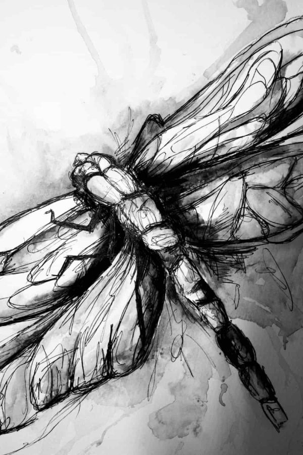 Watercolour Abstract Dragonfly Painting - Print - Image 4