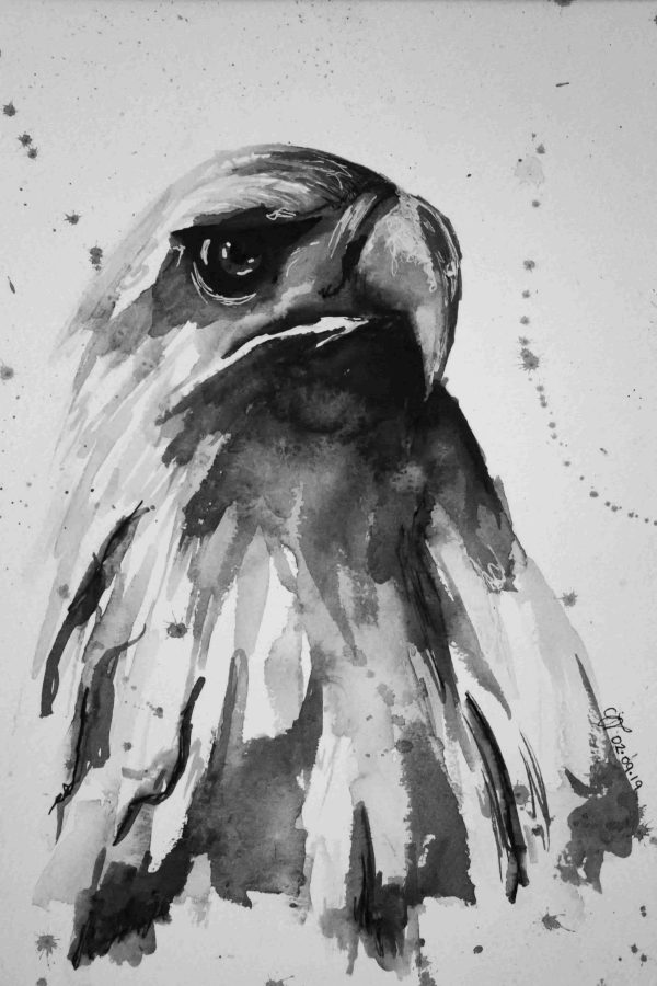 Watercolour Bald Eagle Art - Print - Image 4