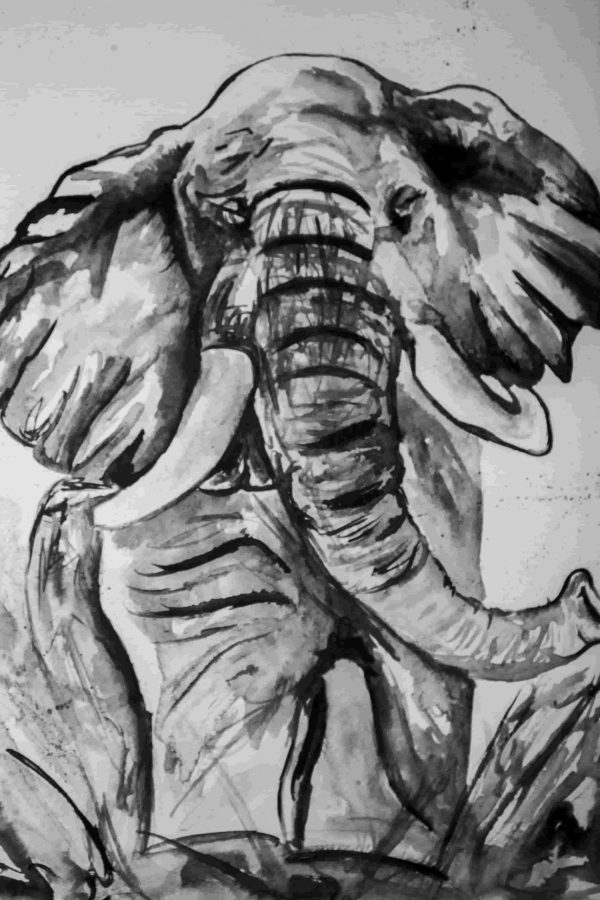 Watercolour Asian Elephant - Print - Image 4