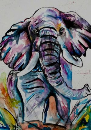 Elephant Watercolour Art By Chloe
