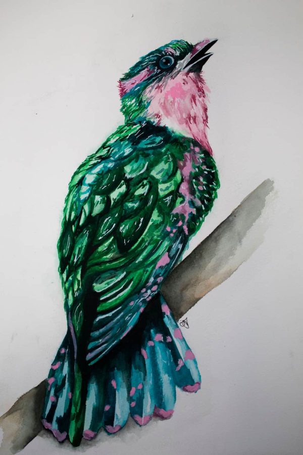 Watercolour Tropical Bird - Print