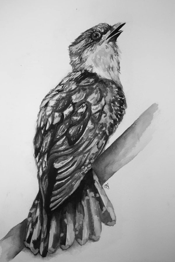 Watercolour Tropical Bird - Print - Image 4