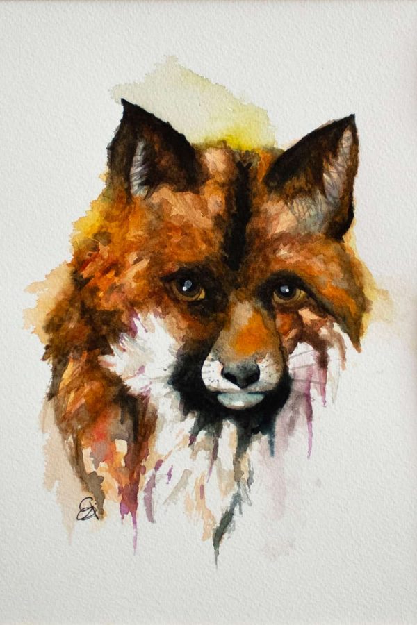 Watercolour Orange Fox - Print