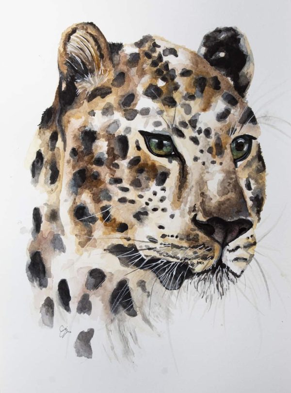 Watercolour African Leopard Print