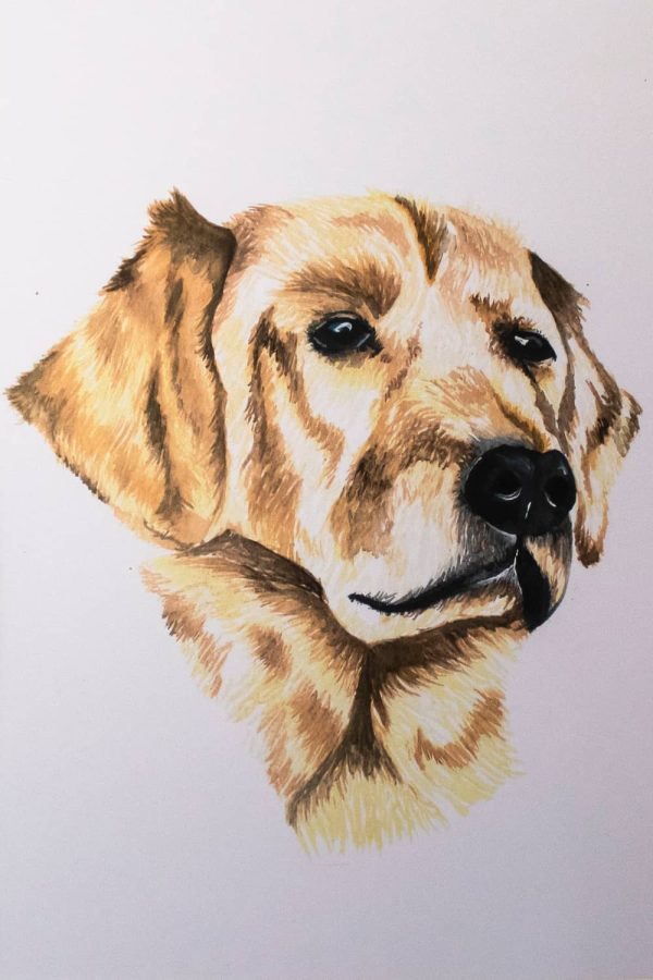 Watercolour Golden Lab - Print