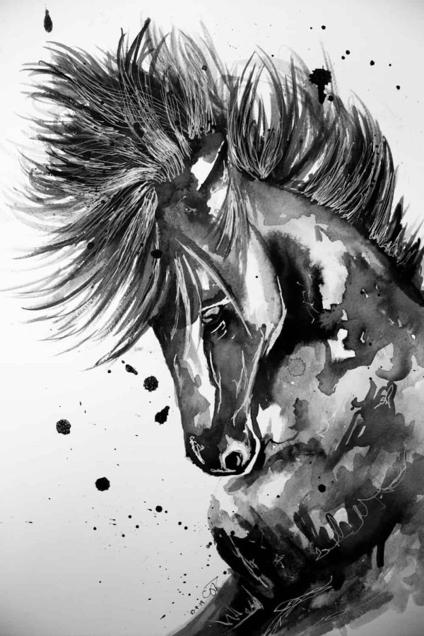 Indian Ink Colourful Horse - Print - Image 4