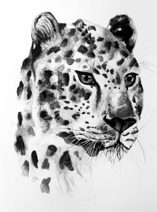 Watercolour African Leopard Print - Image 4