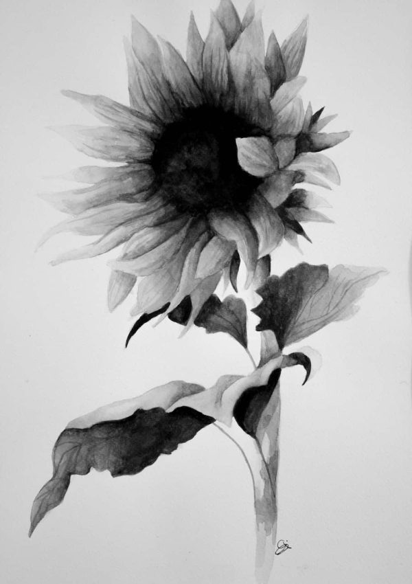 Watercolour Sunflower Print - Image 4