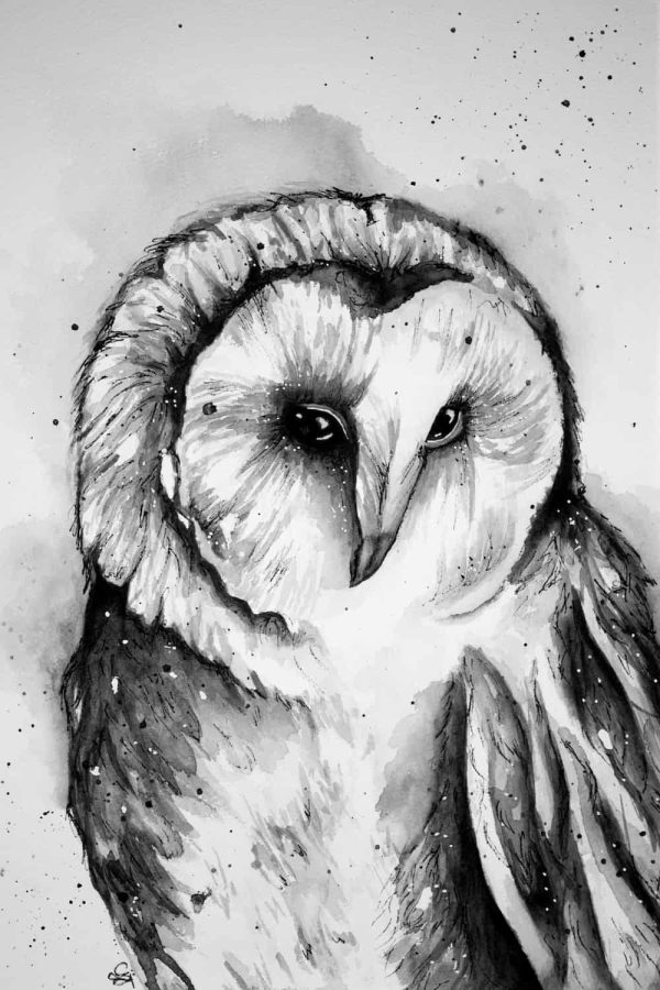 Watercolour White Barn Owl - Print - Image 4