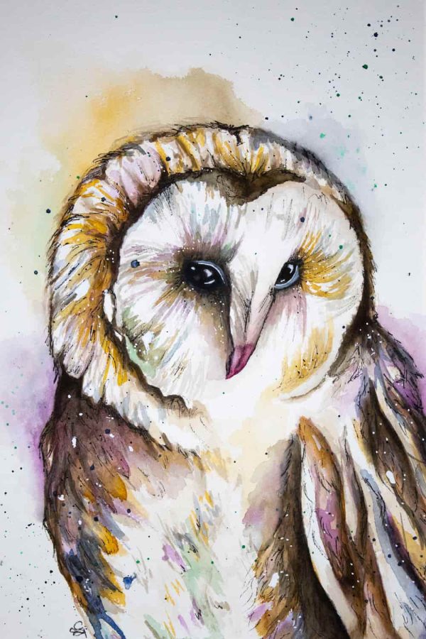 Watercolour White Barn Owl - Print