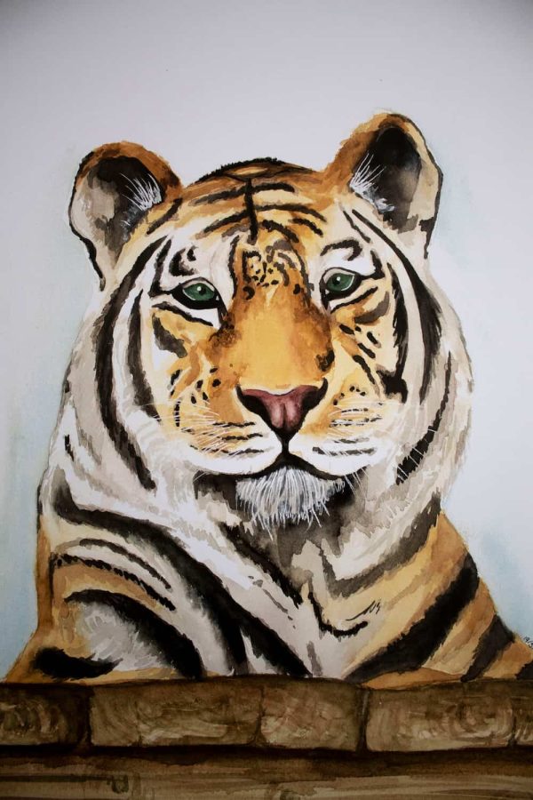 Watercolour Tiger - Print