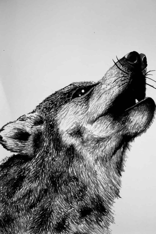 Watercolour Howling Wolf - Print - Image 4