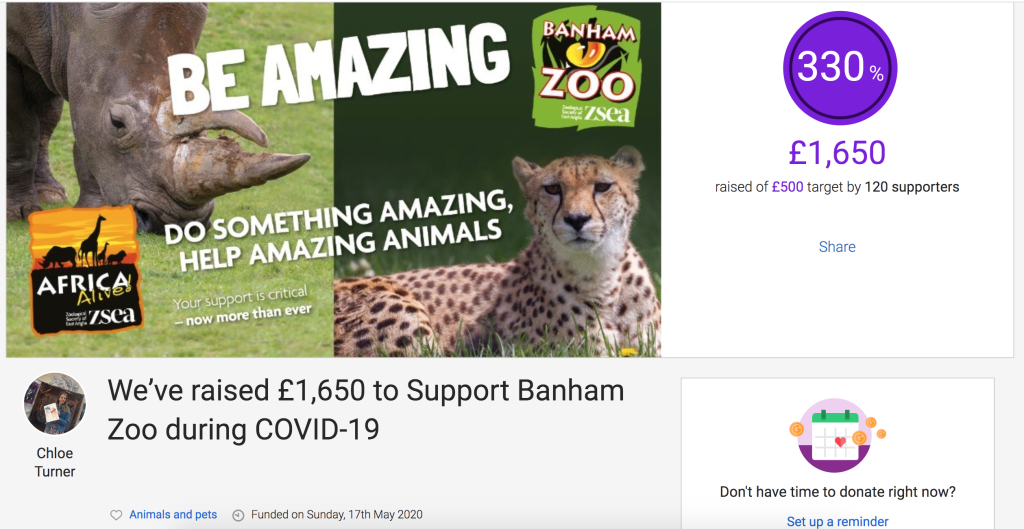 Art By Chloe Fundraising for Banham Zoo