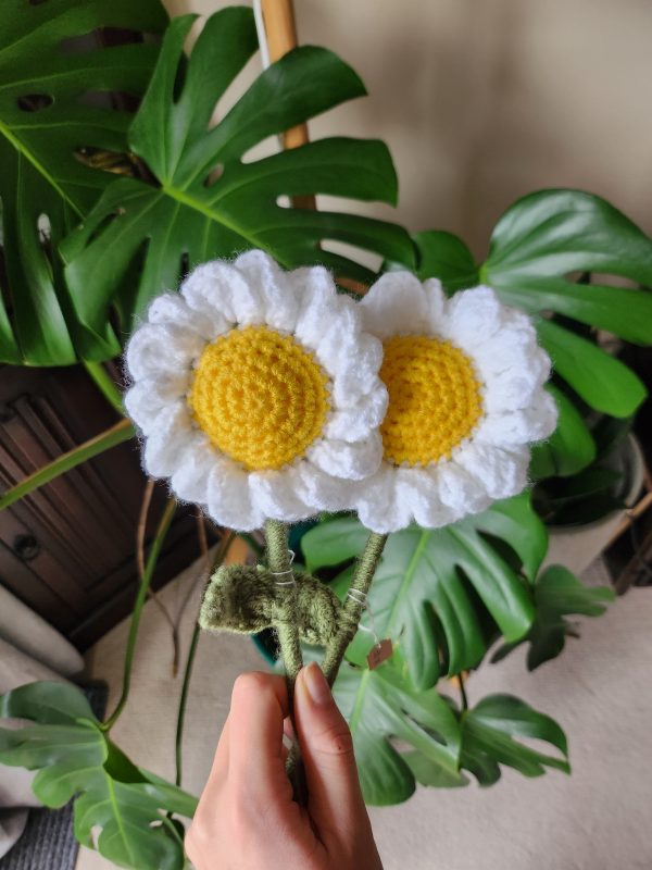 Crochet Daisy