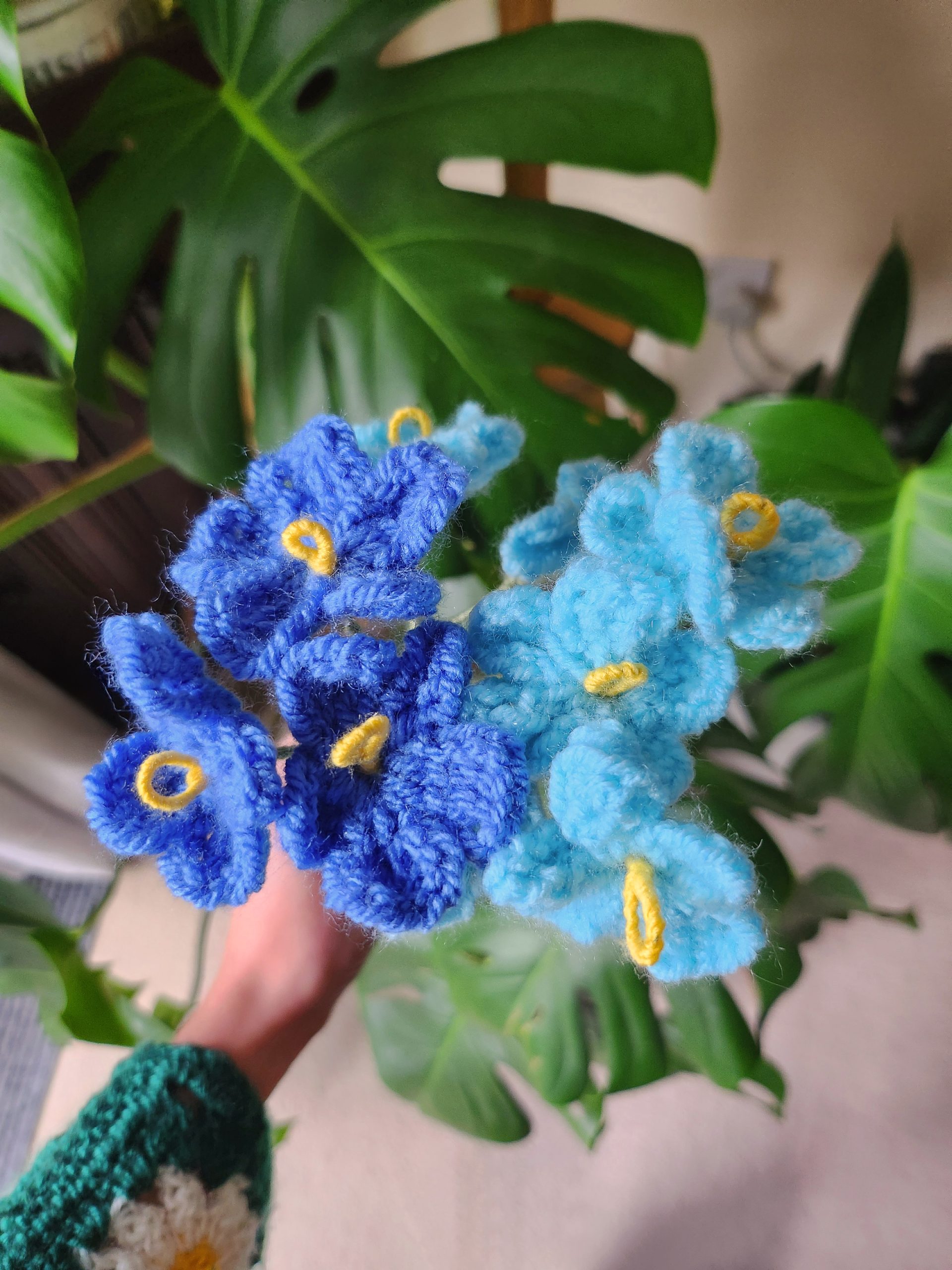 forget-me-not flower ABC